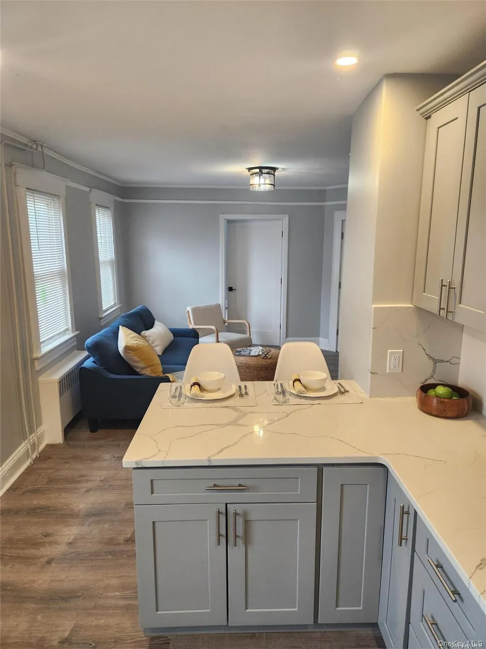 156 Cleveland Avenue #B Mineola, NY 11501