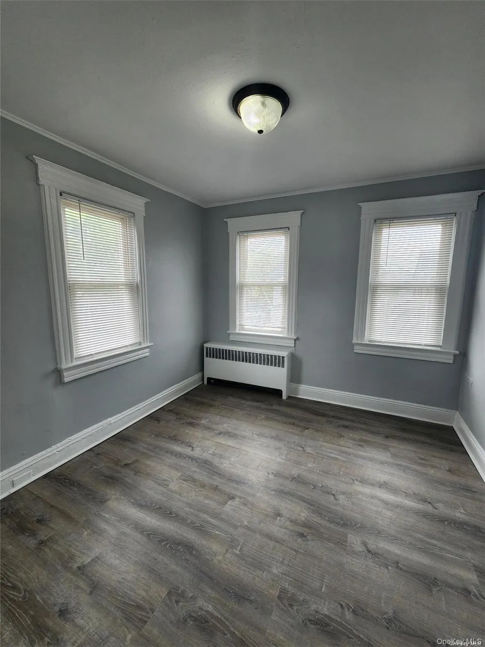 156 Cleveland Avenue #B Mineola, NY 11501
