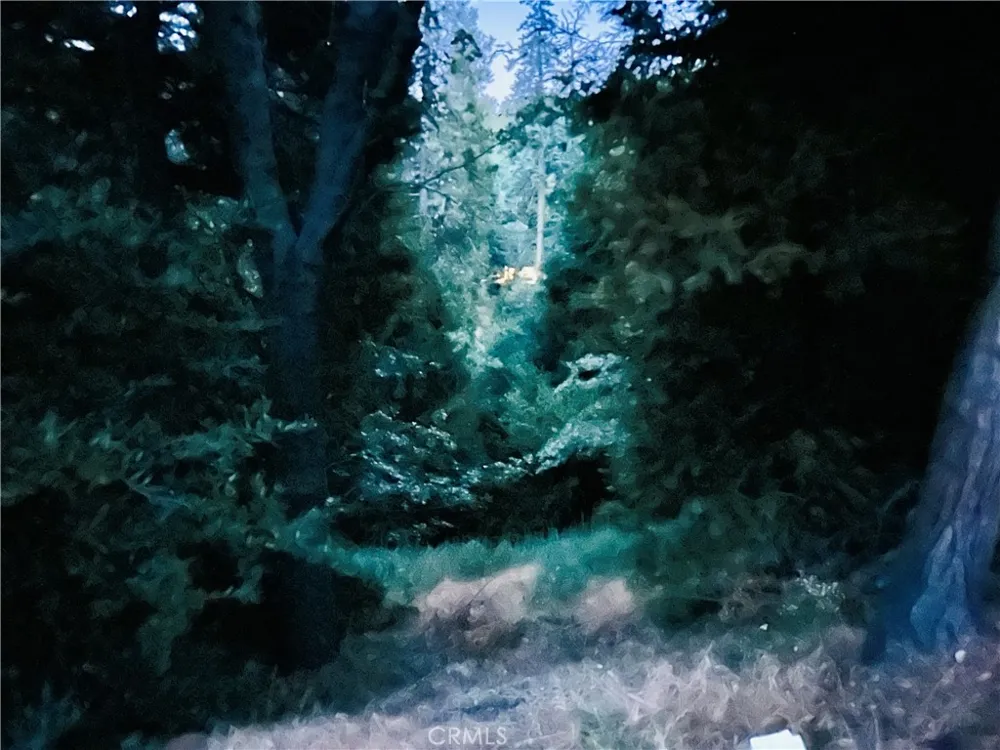 Acacia Drive Crestline, CA 92325