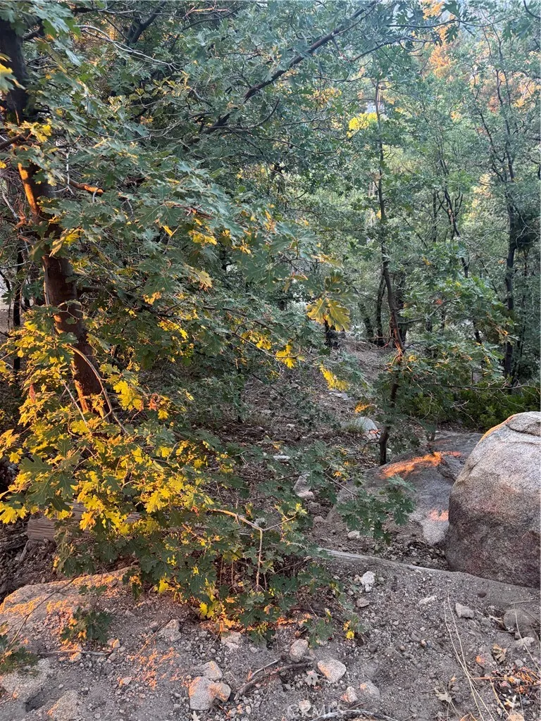 Acacia Drive Crestline, CA 92325