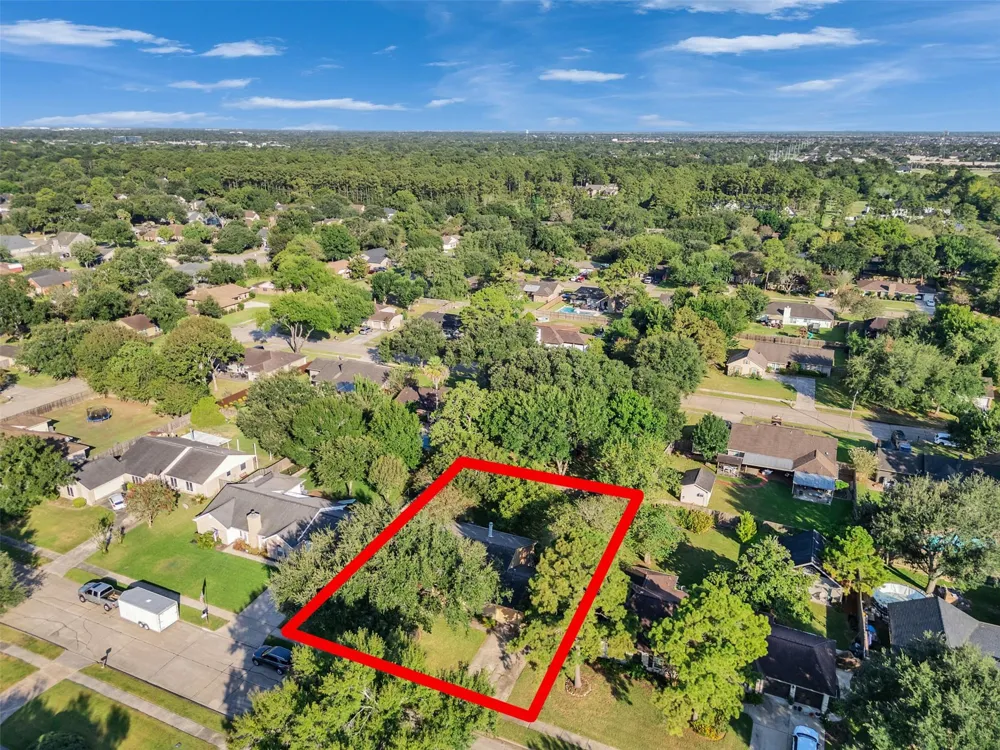 1208 Piney Woods Drive Friendswood, TX 77546
