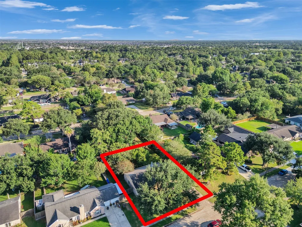 1208 Piney Woods Drive Friendswood, TX 77546