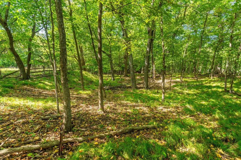 36045 Timber Hills Trail Battle Lake, MN 56515