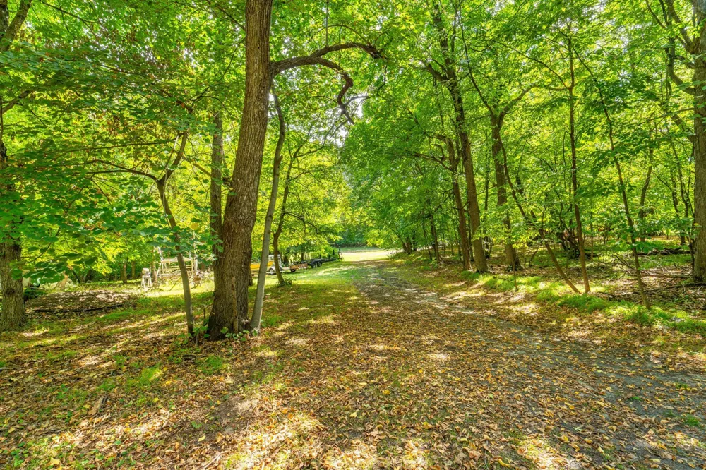 36045 Timber Hills Trail Battle Lake, MN 56515