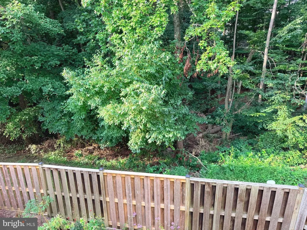 6062 HOLLOW HILL LANE Springfield, VA 22152