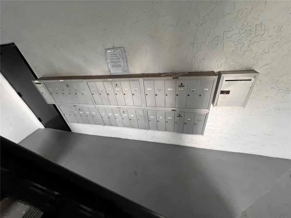 1200 37TH STREET #302 St Petersburg, FL 33713