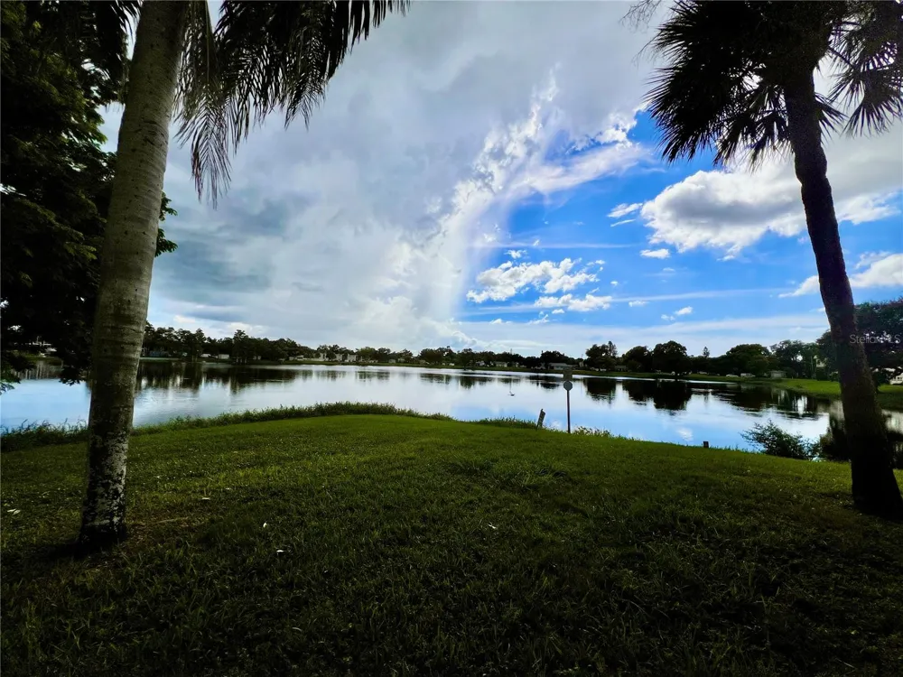 1200 37TH STREET #302 St Petersburg, FL 33713