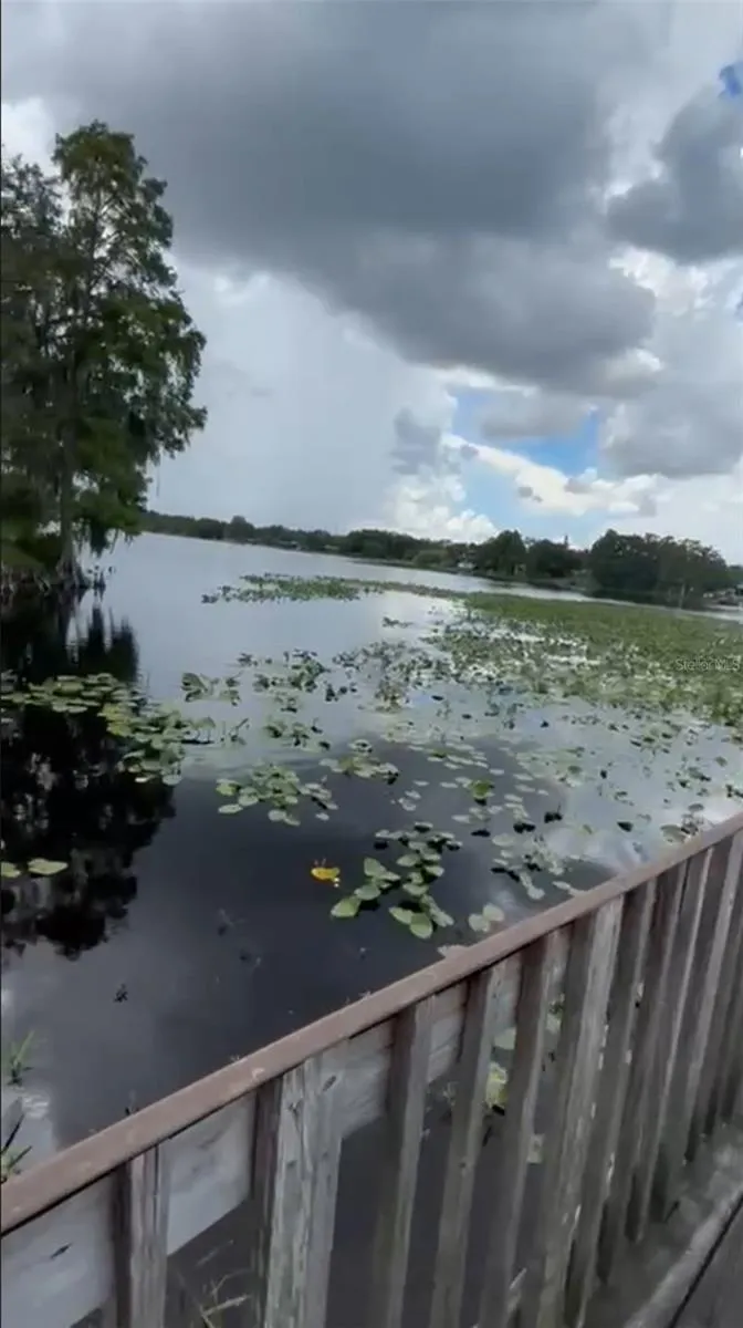 4127 DOLPHIN DRIVE #4127 Tampa, FL 33617