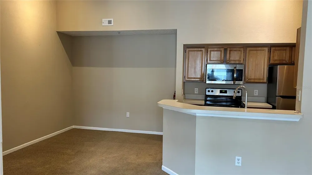 13102 MULBERRY PARK DRIVE #934 Orlando, FL 32821