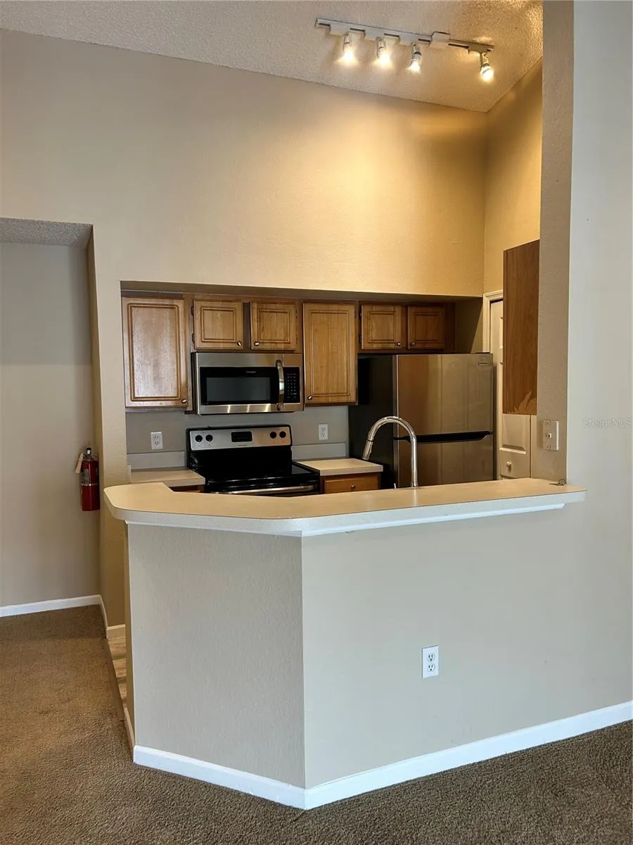 13102 MULBERRY PARK DRIVE #934 Orlando, FL 32821