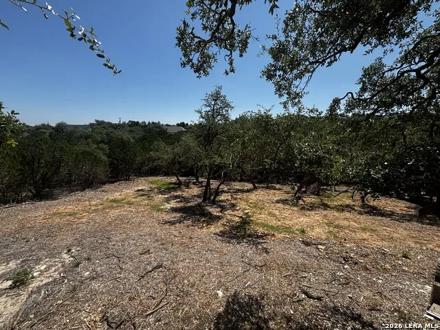 1197 SPICE WOOD RD Fischer, TX 78623