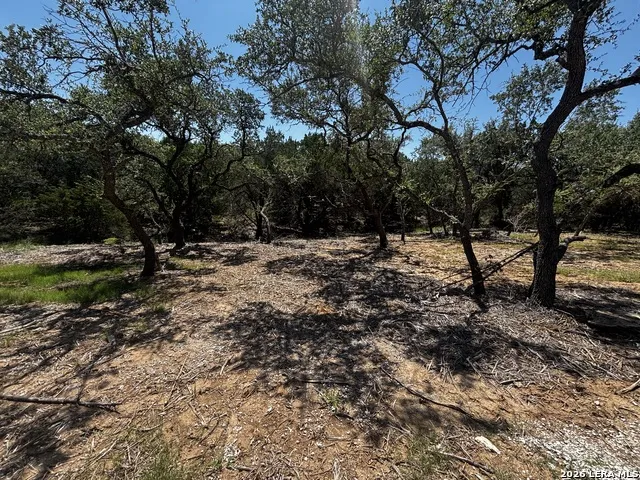 1197 SPICE WOOD RD Fischer, TX 78623