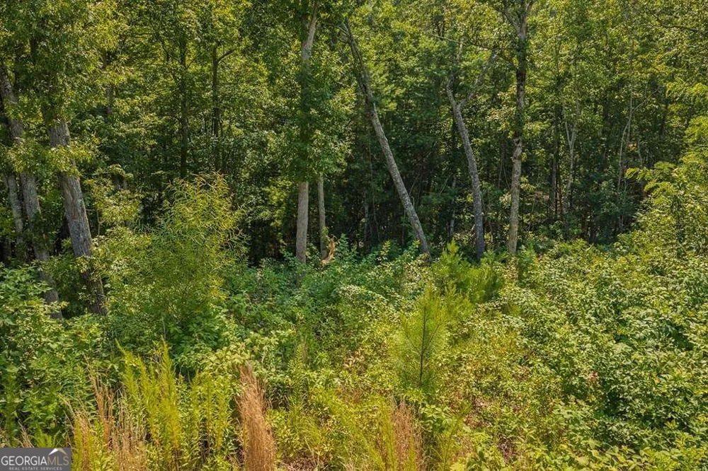 LOT 84 High Summit DR Talking Rock, GA 30175