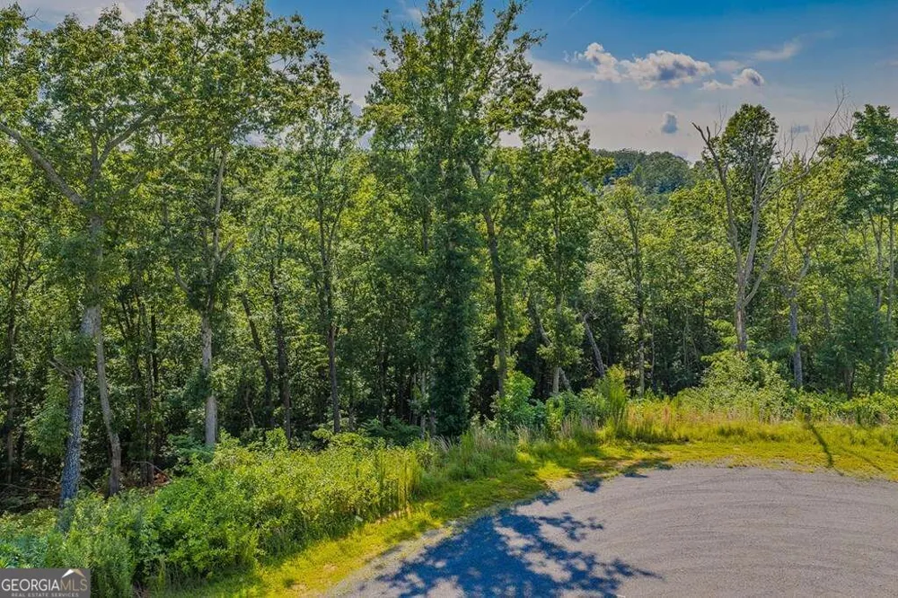 LOT 84 High Summit DR Talking Rock, GA 30175
