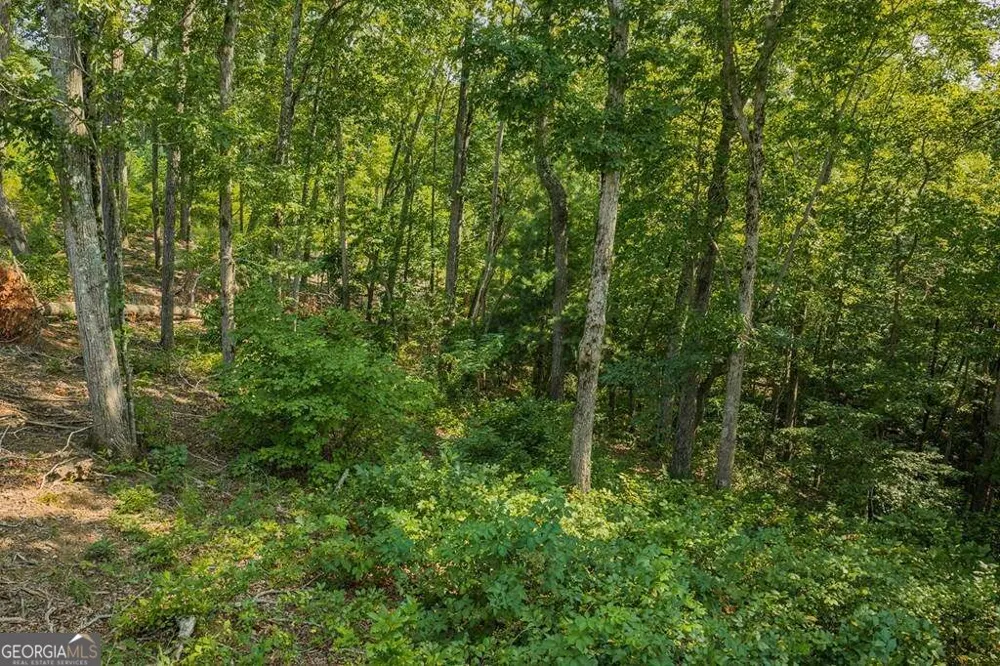 LOT 84 High Summit DR Talking Rock, GA 30175
