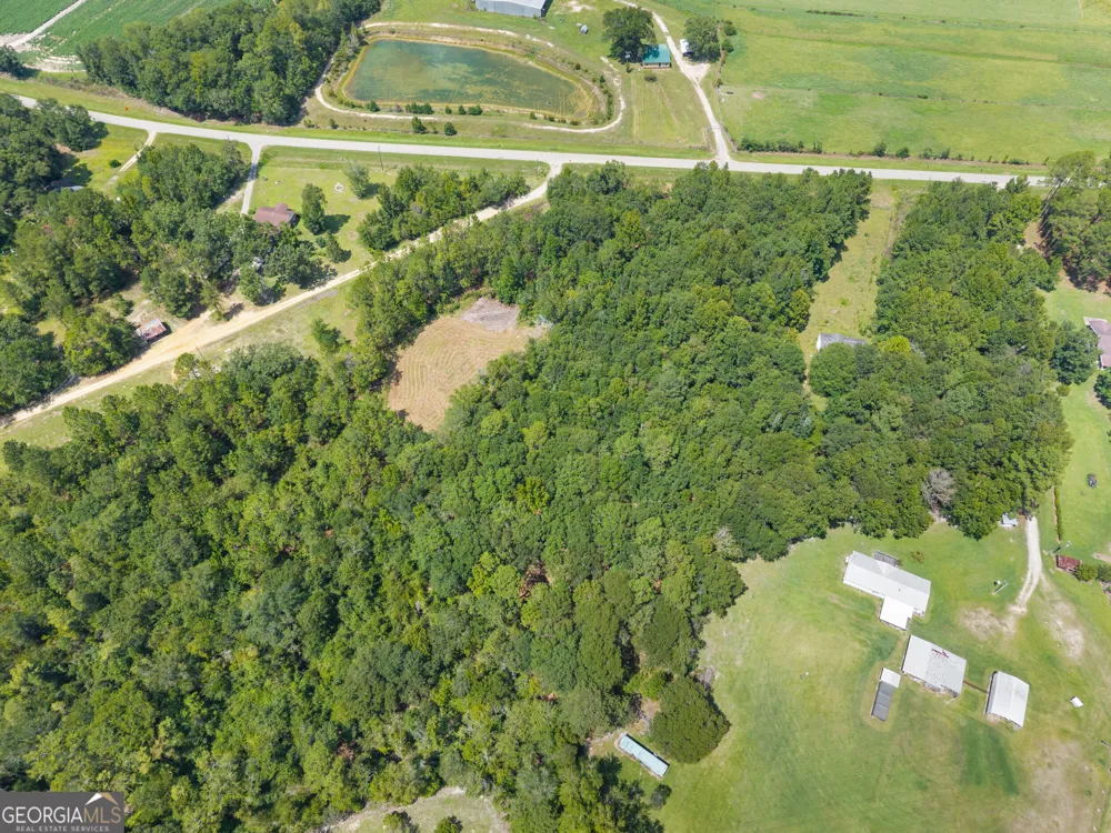 0 Buck Creek RD Sylvania, GA 30467