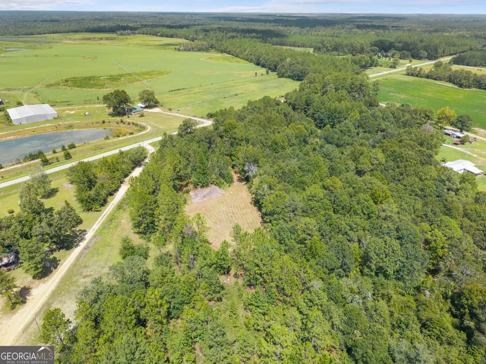 0 Buck Creek RD Sylvania, GA 30467