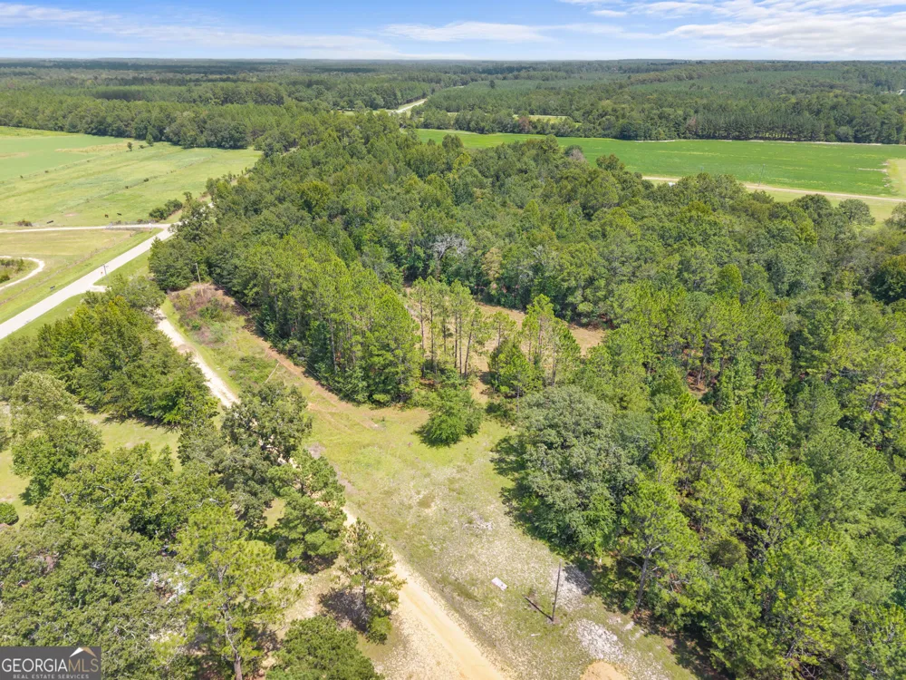 0 Buck Creek RD Sylvania, GA 30467