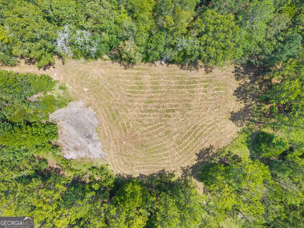 0 Buck Creek RD Sylvania, GA 30467