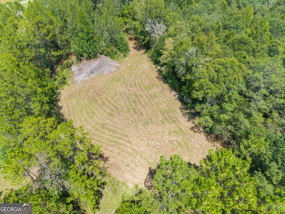 0 Buck Creek RD Sylvania, GA 30467