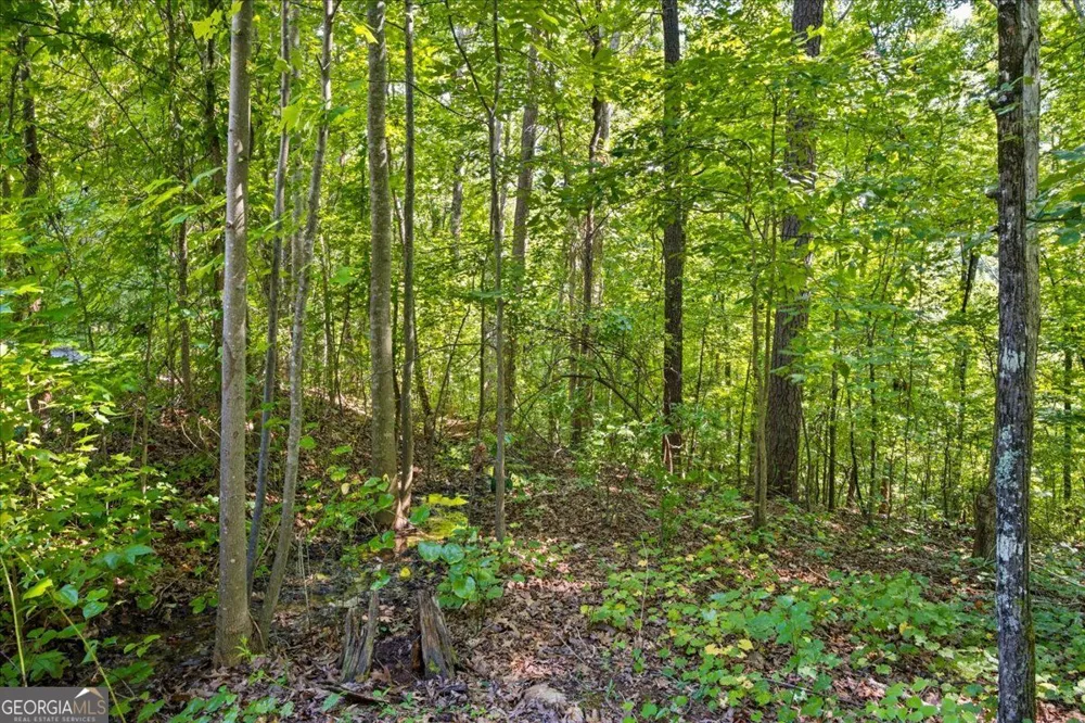 200 Gina DR Carrollton, GA 30116