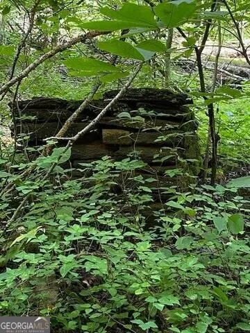 0 Seven Springs Jasper, GA 30143