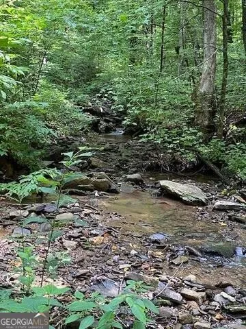 0 Seven Springs Jasper, GA 30143