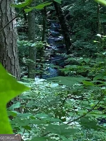 0 Seven Springs Jasper, GA 30143