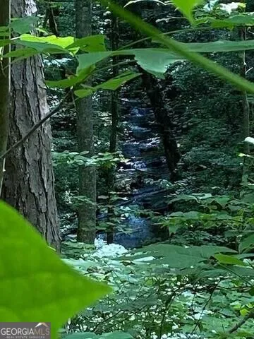 0 Seven Springs Jasper, GA 30143