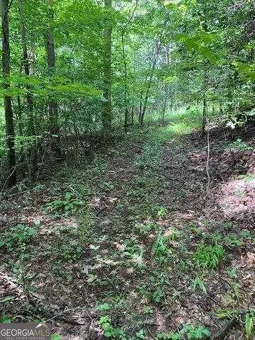 0 Seven Springs Jasper, GA 30143