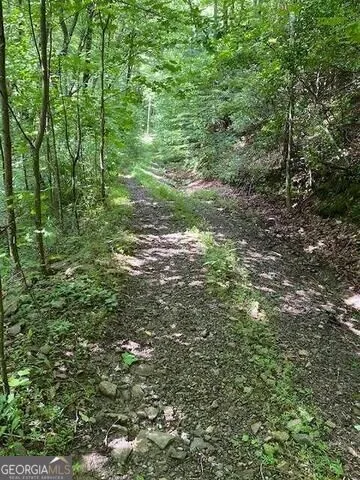 0 Seven Springs Jasper, GA 30143