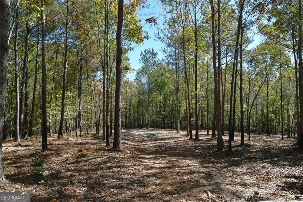352 Mulberry RD Winder, GA 30680