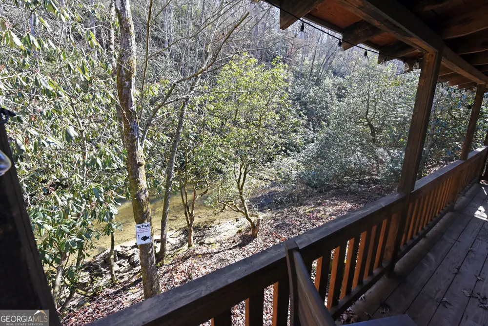 150 Donna Lee LN Mineral Bluff, GA 30559