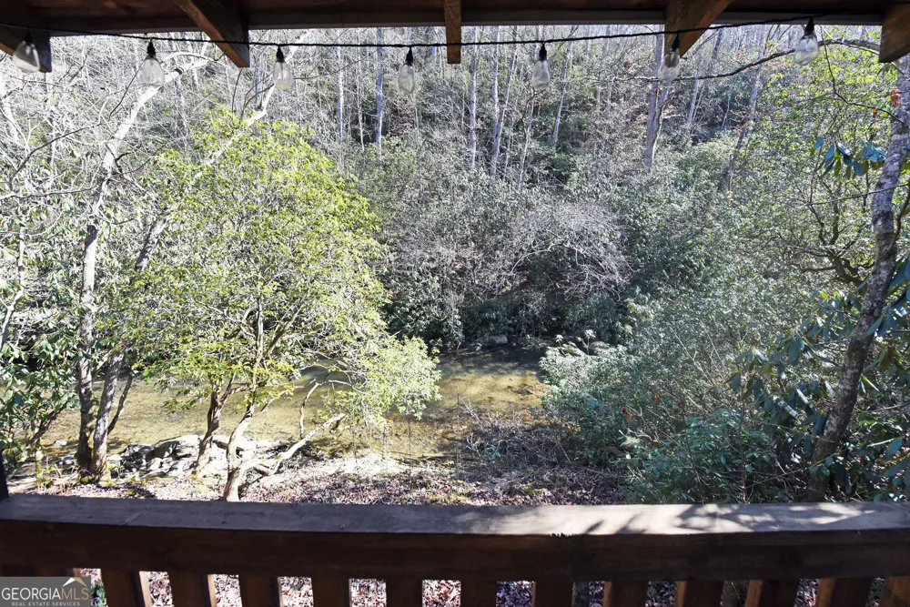 150 Donna Lee LN Mineral Bluff, GA 30559