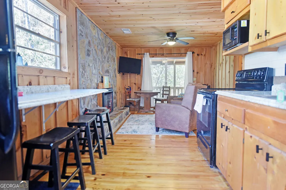 150 Donna Lee LN Mineral Bluff, GA 30559
