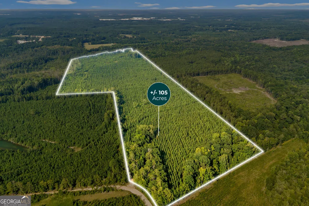 MERCER TRACT New Hopewell Church RD Jeffersonville, GA 31044