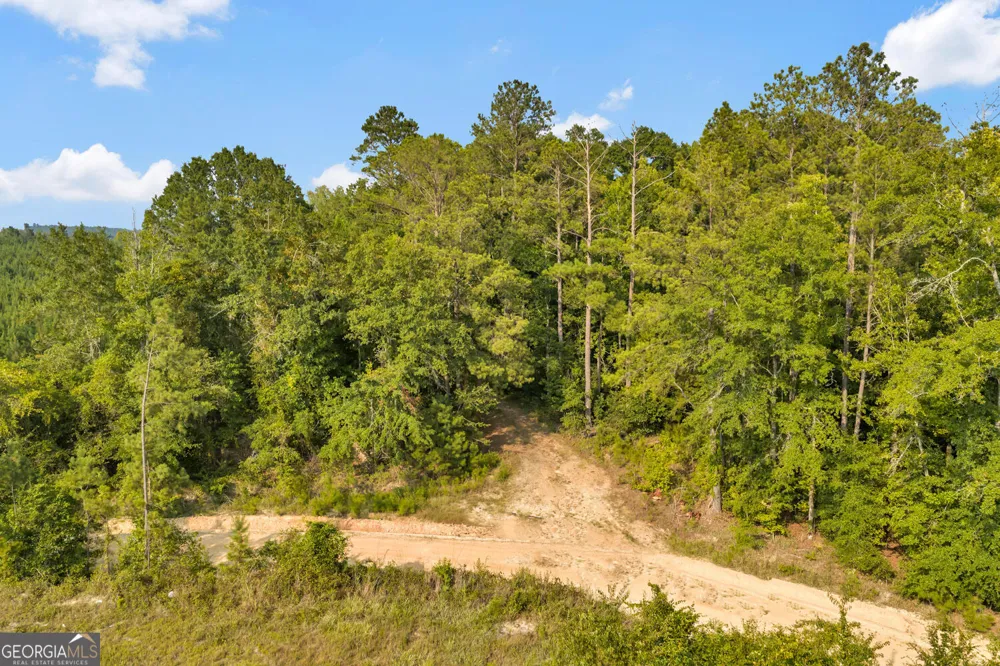 MERCER TRACT New Hopewell Church RD Jeffersonville, GA 31044