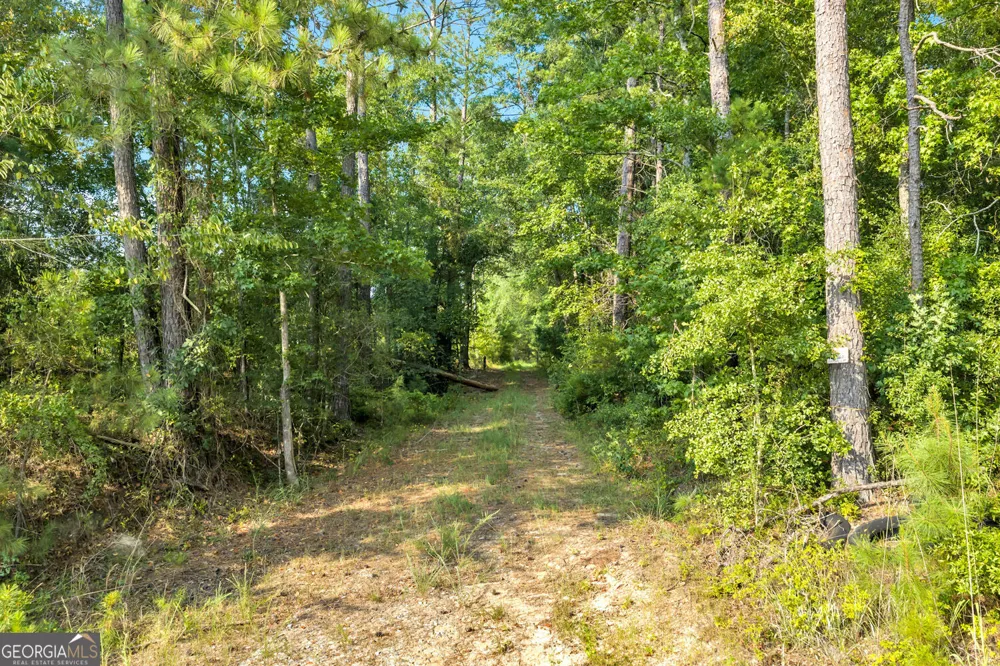 MERCER TRACT New Hopewell Church RD Jeffersonville, GA 31044