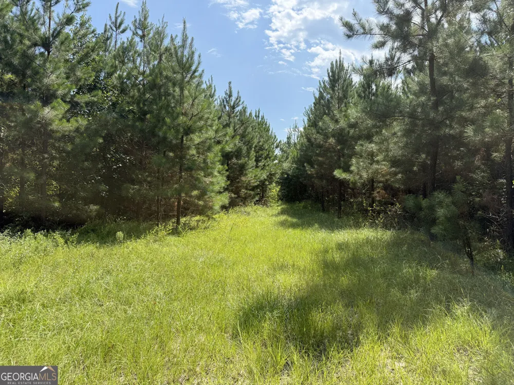 MERCER TRACT New Hopewell Church RD Jeffersonville, GA 31044