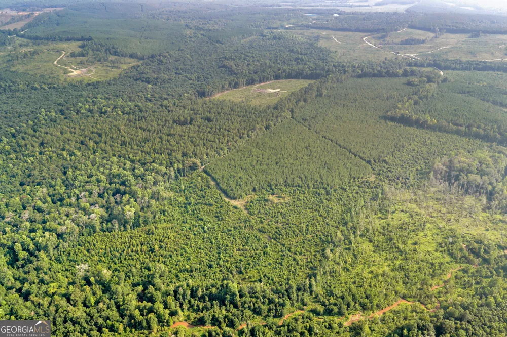 MERCER TRACT New Hopewell Church RD Jeffersonville, GA 31044
