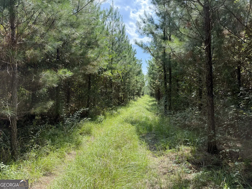 MERCER TRACT New Hopewell Church RD Jeffersonville, GA 31044