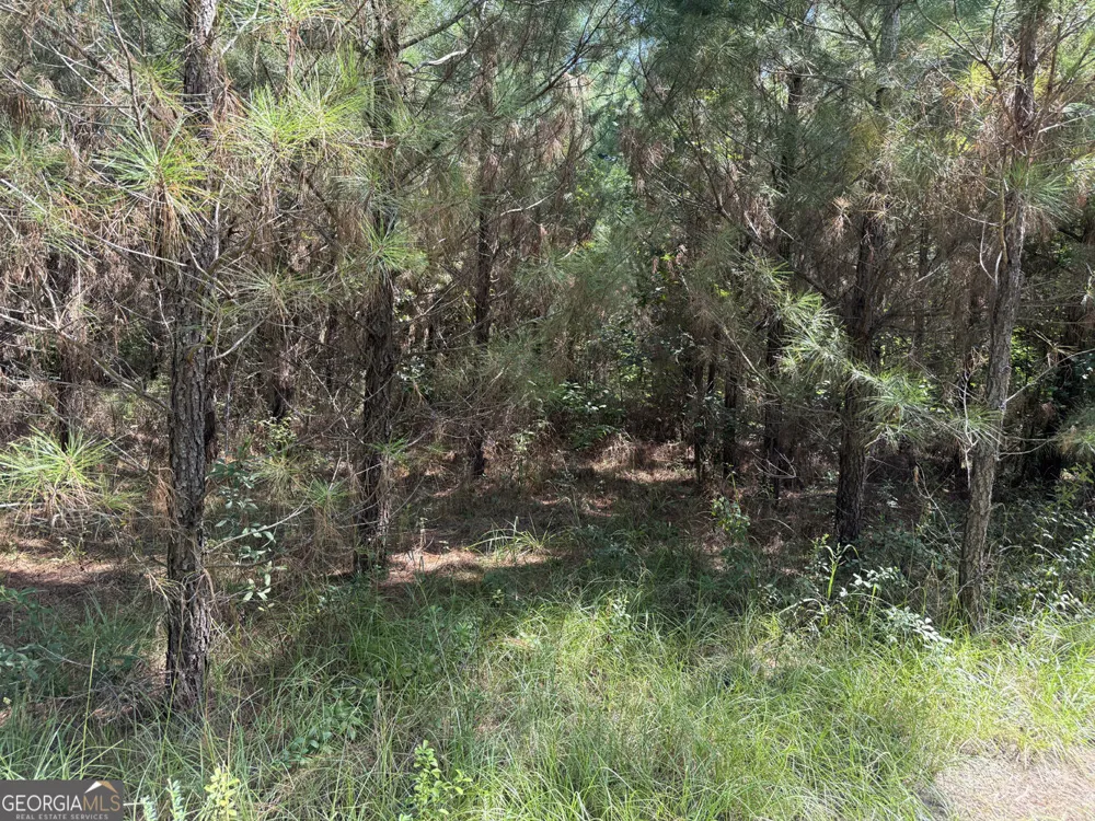 MERCER TRACT New Hopewell Church RD Jeffersonville, GA 31044