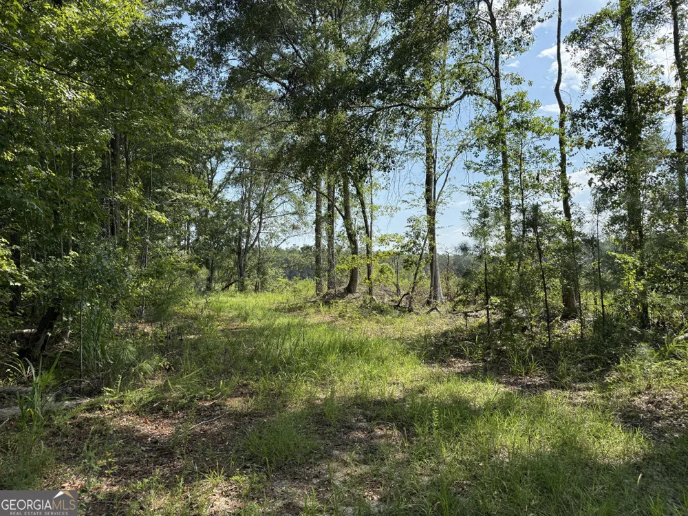 MERCER TRACT New Hopewell Church RD Jeffersonville, GA 31044