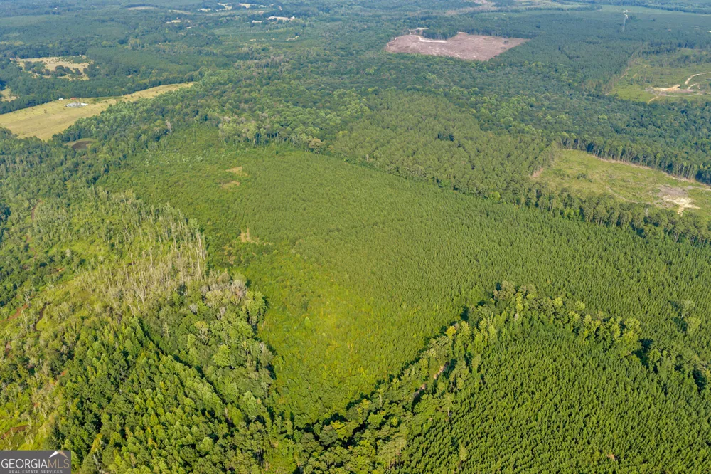 MERCER TRACT New Hopewell Church RD Jeffersonville, GA 31044