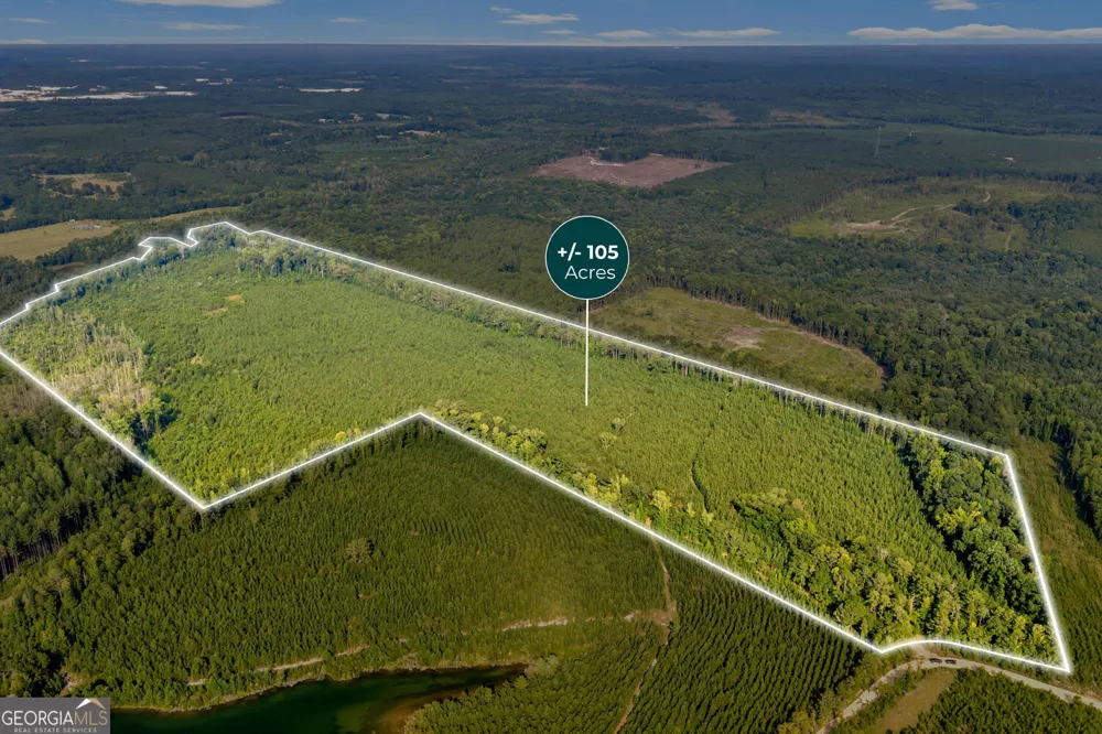 MERCER TRACT New Hopewell Church RD Jeffersonville, GA 31044