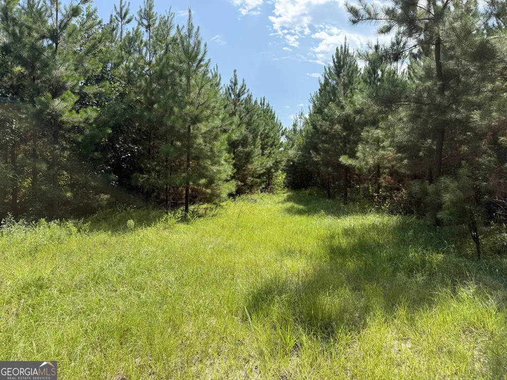 MERCER TRACT New Hopewell Church RD Jeffersonville, GA 31044