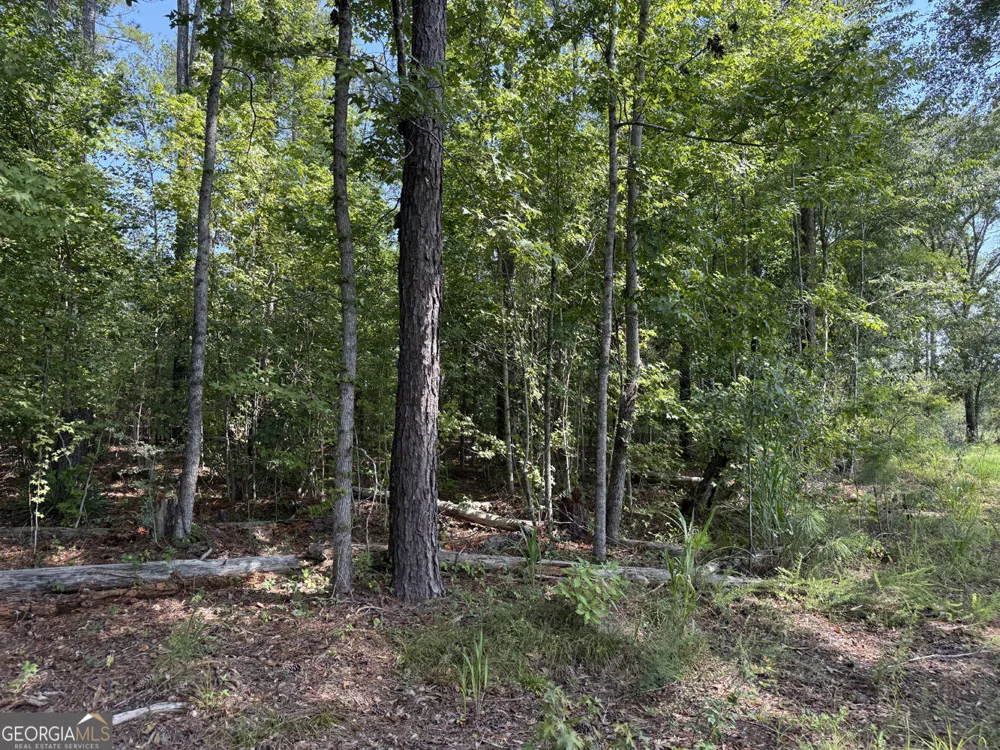 MERCER TRACT New Hopewell Church RD Jeffersonville, GA 31044