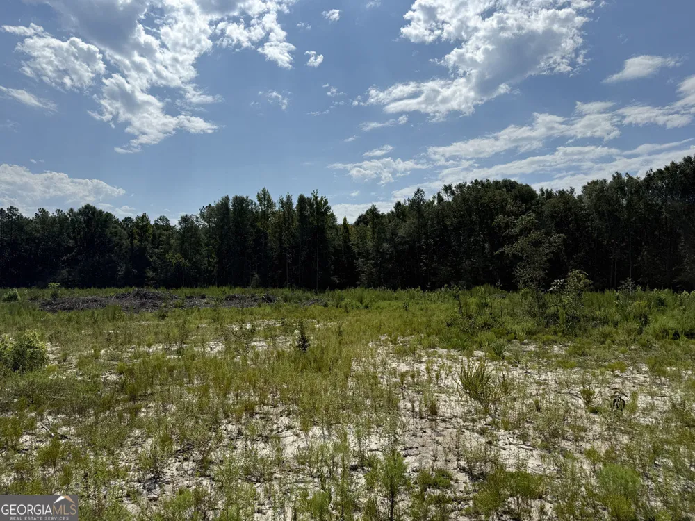 MERCER TRACT New Hopewell Church RD Jeffersonville, GA 31044