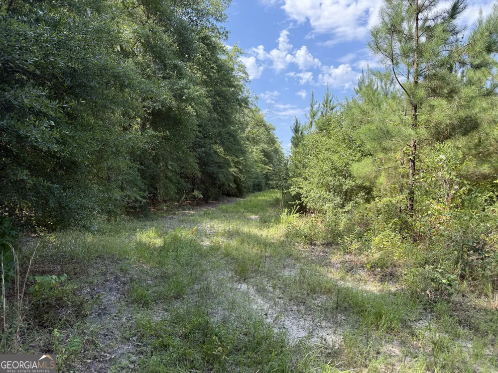 MERCER TRACT New Hopewell Church RD Jeffersonville, GA 31044
