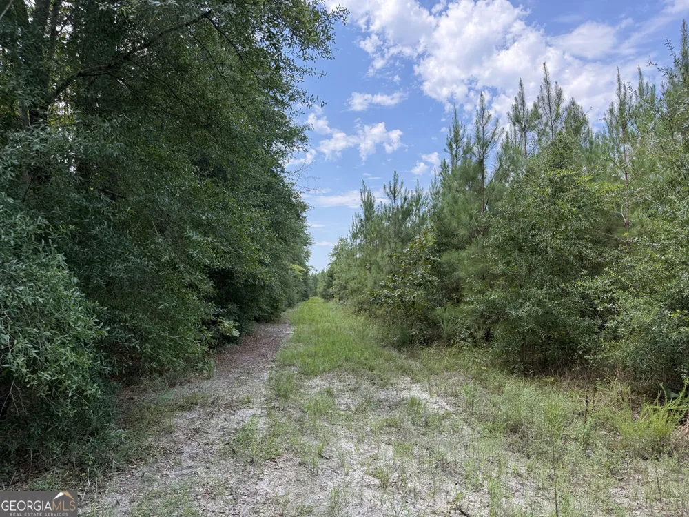 MERCER TRACT New Hopewell Church RD Jeffersonville, GA 31044